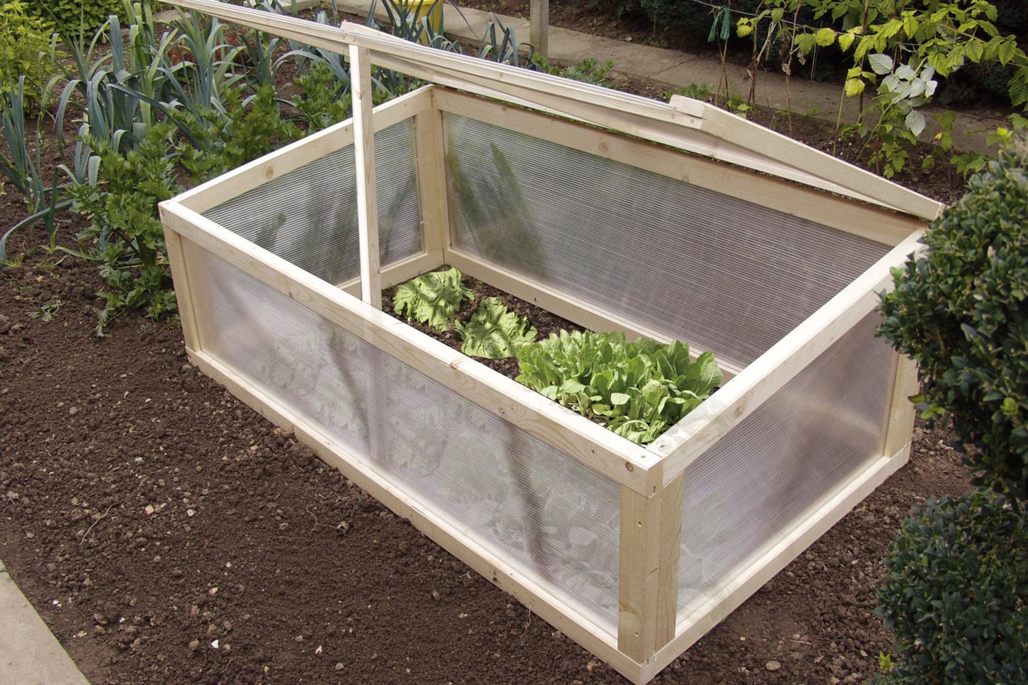 Hohlkammerplatte Polycarbonat 4,5mm Basic klar - Qualität, Leichtigkeit, Kosteneffizienz - Plattenprofi24