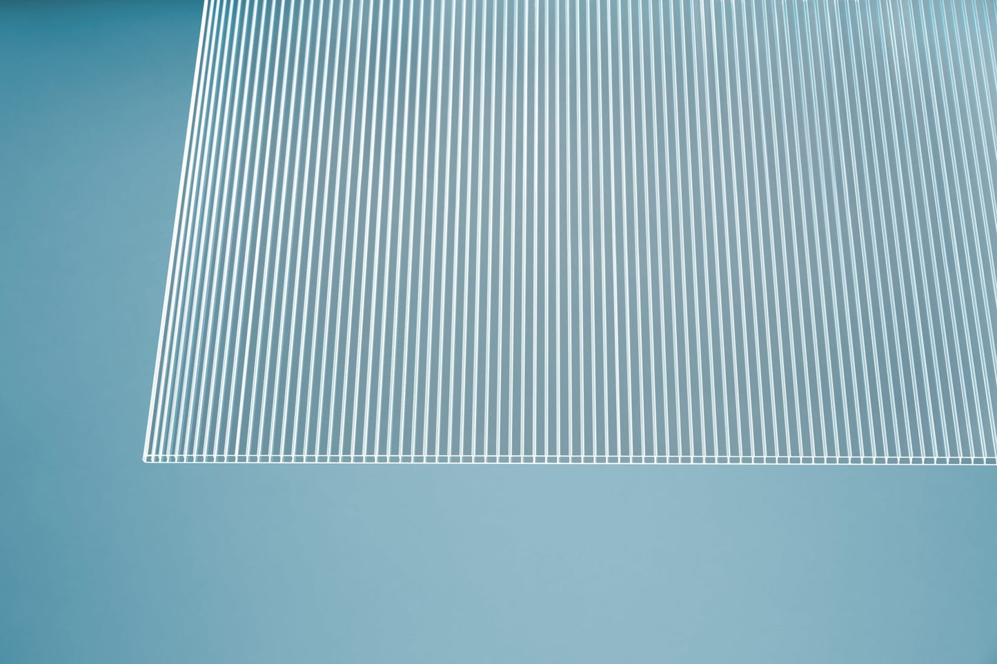 Hohlkammerplatte Polycarbonat 6mm Basic klar - Qualität, Leichtigkeit, Kosteneffizienz - Plattenprofi24
