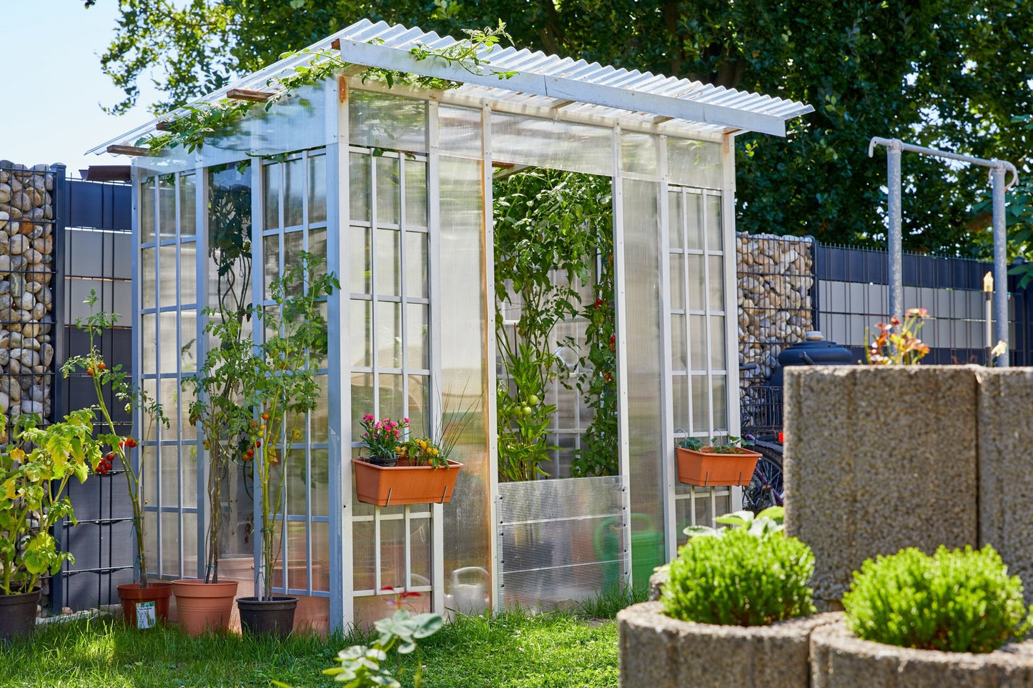 Hohlkammerplatte Polycarbonat 6mm Basic klar - Qualität, Leichtigkeit, Kosteneffizienz - Plattenprofi24